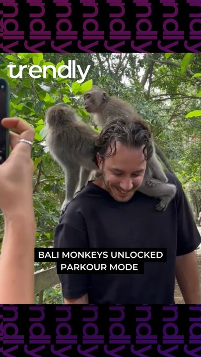 Tourist Becomes a Jungle Gym for Monkeys at Ubud Monkey Forest