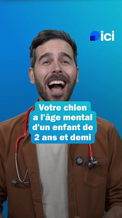 Quel est le QI de votre chien ? - les conseils du Dr Fabing
