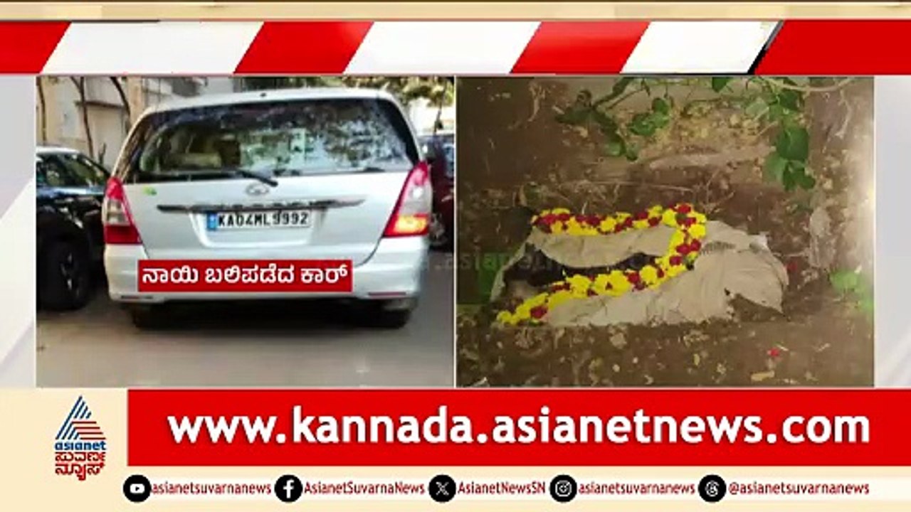 ಕಾರಿನ ಚಕ್ರಕ್ಕೆ ಸಿಲುಕಿ ನಾಯಿ ಸಾವಿಗೆ ಡಾಗಿದು, ಚಾಲಕನ ವಿರುದ್ಧ ಪೊಲೀಸ್ ಕೇಸ್ ದಾಖಲಾಗಿದೆ