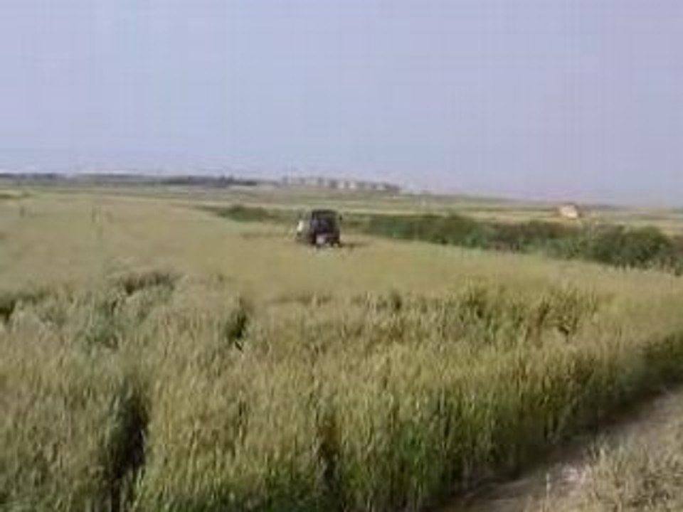 Fiat 70-66 DT Spraying the Wheat Tractor Part 2