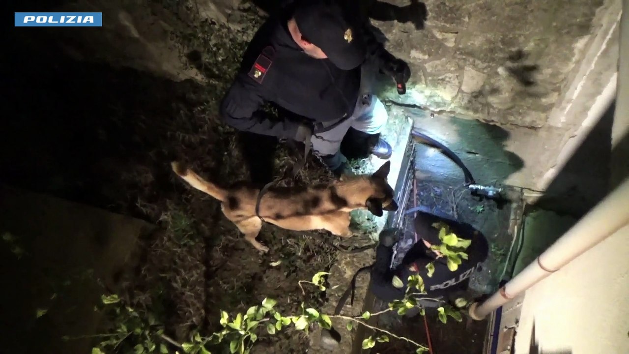 arresti cosenza droga