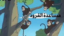 42 بومبو - مساعدة القرود