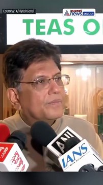 Rahul Gandhi is LYING on India-US Trade Deal: Piyush Goyal Hits Back