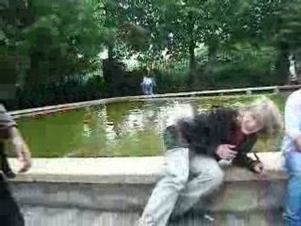 Photo 015
