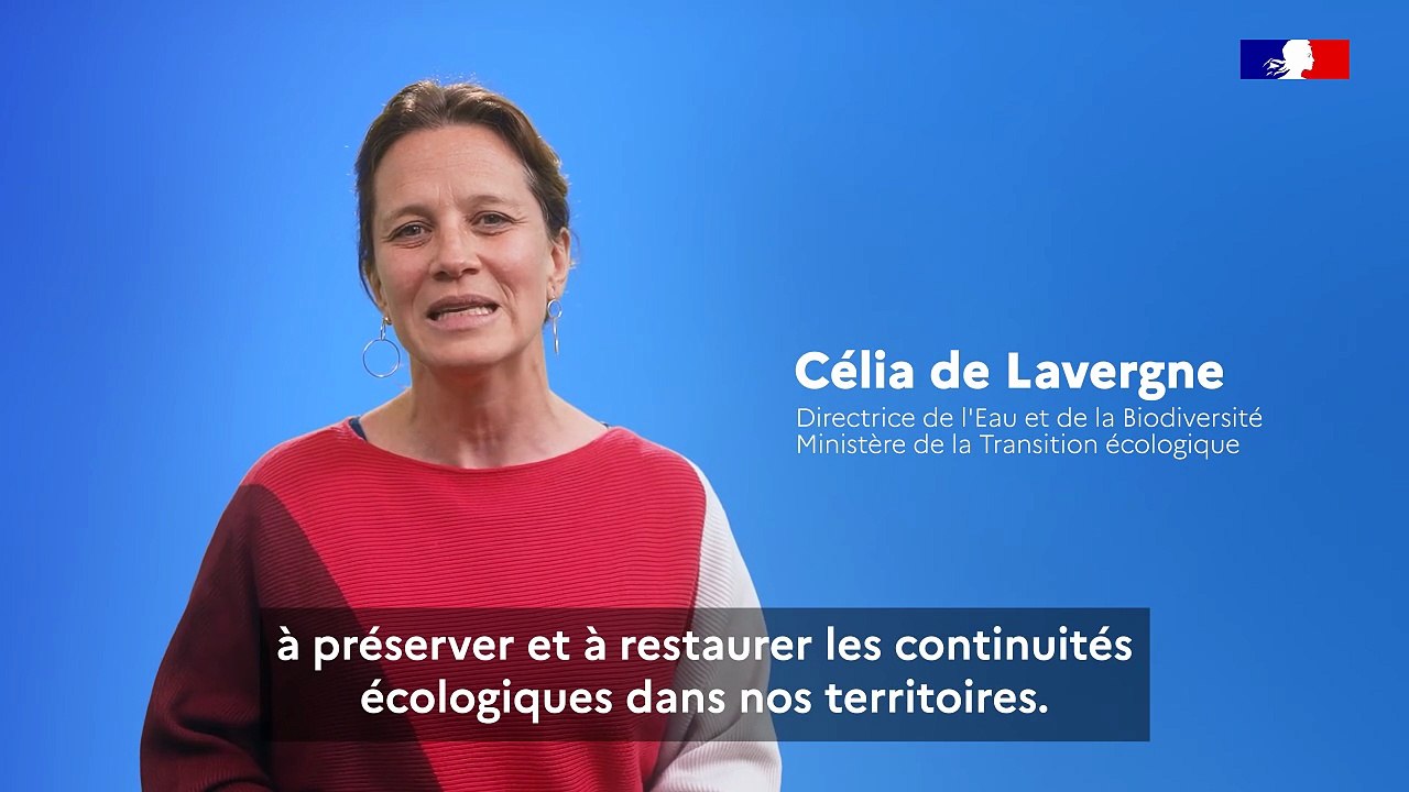 Les trames vertes et bleues : préserver et restaurer les continuités écologiques