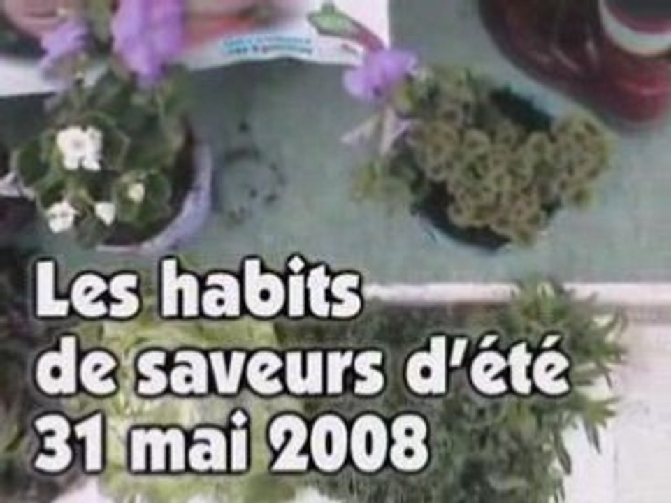 Les habits de saveurs d'été - 31 mai 2008