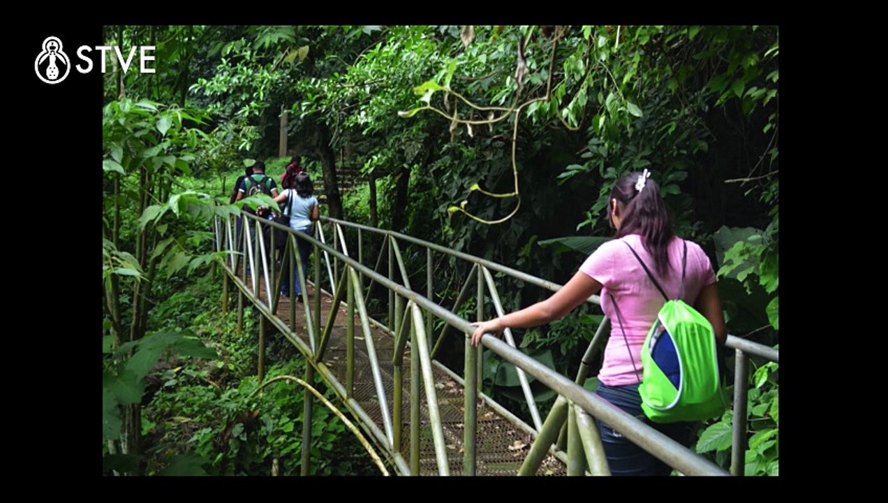 Cuevas de Talgua