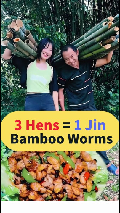 3 Old Hens for 1 Jin! This Rare Bamboo Worm Delicacy Is Incredible