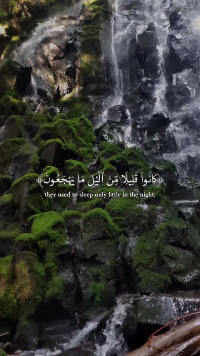 🌙 Surah Az-Zāriyāt (51:17–22) — سورة الذاريات ✨ The Secret of the Righteous… And the Promise of Rizq 🤍🌌 #love #Quran #viral #shorts #trending #youtubeshorts #fyp #short #SurahAzZariyat #Taqwa #Tahajjud #Rizq #IslamicReminder