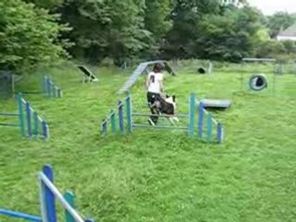 MVI_2212