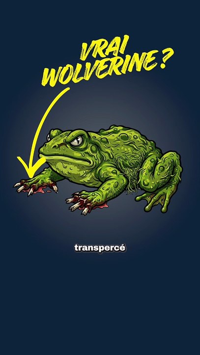 Il BRISE ses os pour sa famille ! #grenouille #os #wolverine #animaux #nature
