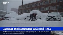 Routes inondées, chutes d'arbres... Les images impressionnantes des dégâts après le passage de la tempête Nils