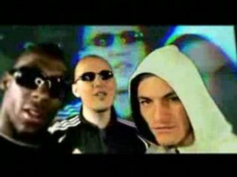 Kamelancien - la joie de survivre