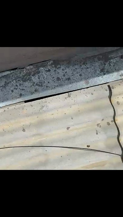 Moradores do São Judas Tadeu denunciam infiltrações após chuvas; construtora se pronuncia
