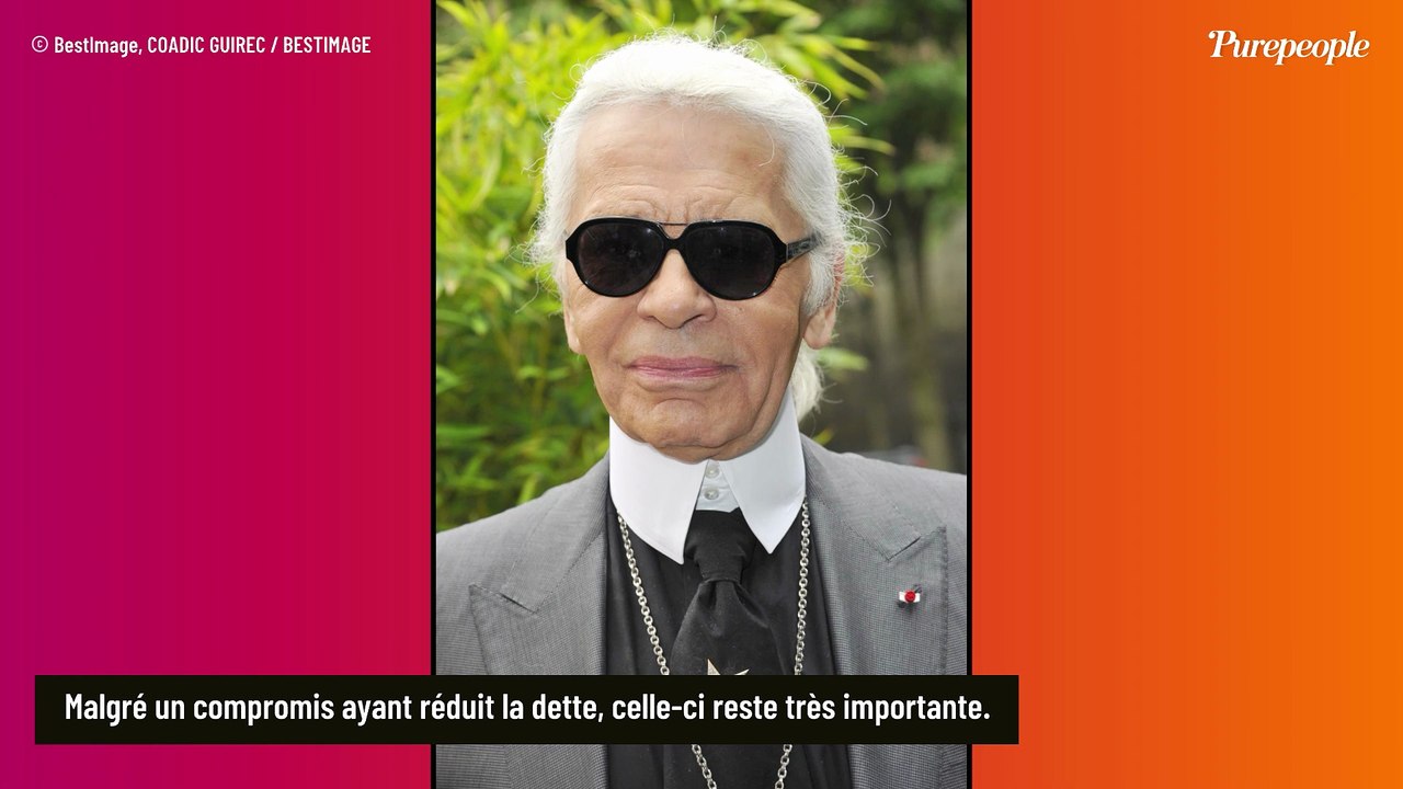 L'héritage de Karl Lagerfeld toujours pas réglé : et si Baptiste Giabiconi et Choupette ne touchaient finalement rien ?