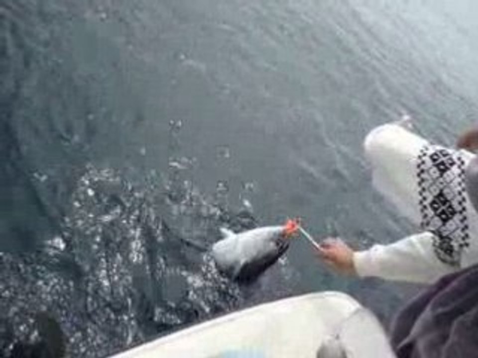 MOV01674