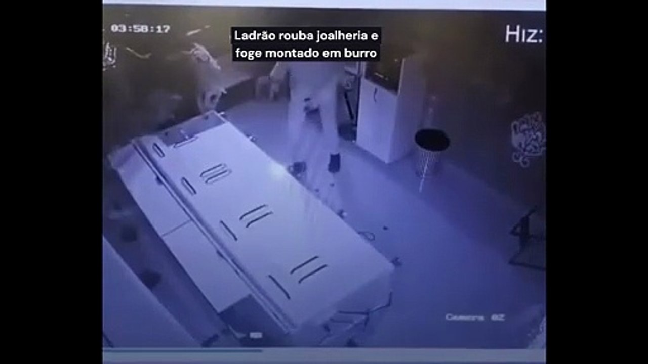 Ladrão rouba joalheria e foge montado em burro