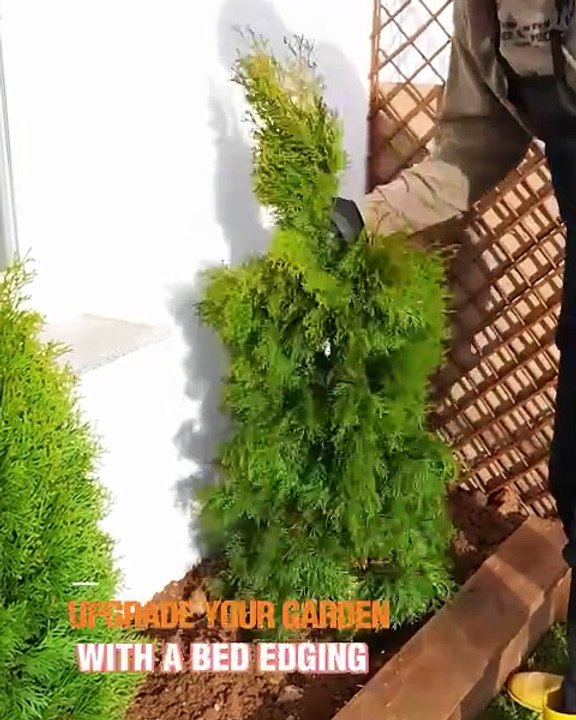 Level up your garden with this stylish bed edging!