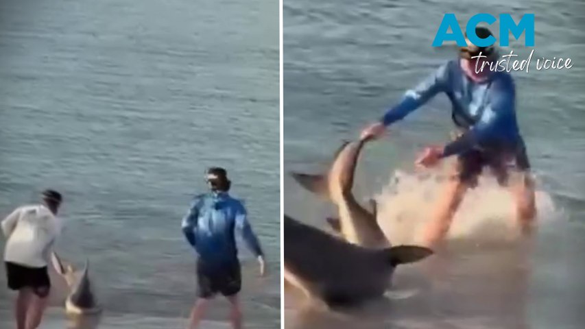 Two boys have stunned beachgoers after landing a bull shark while fishing off Kurnell in Sydney’s south. This video includes ACM-produced voiceover powered by AI.