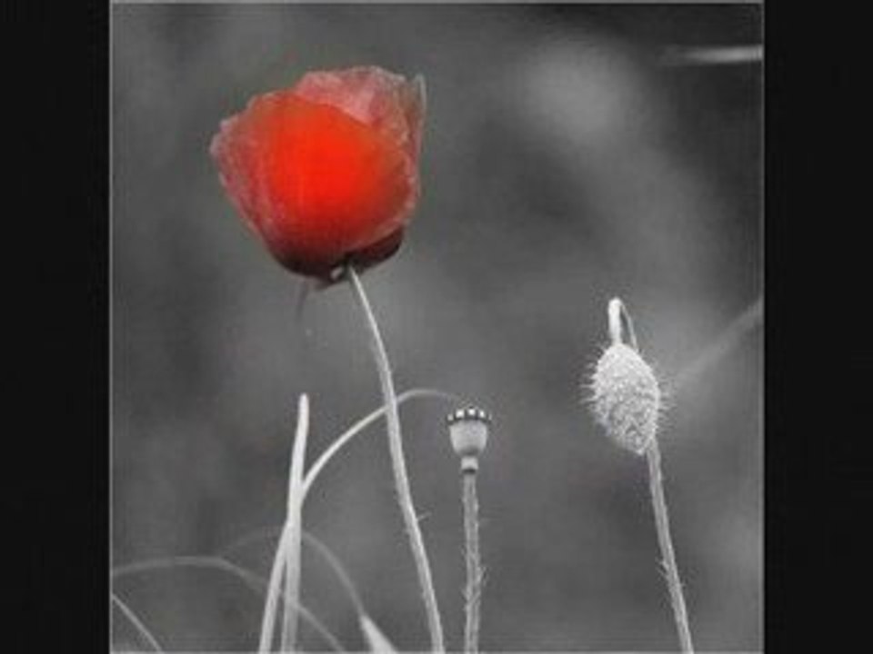 ~~ UN SOIR DE PLUIE ~~