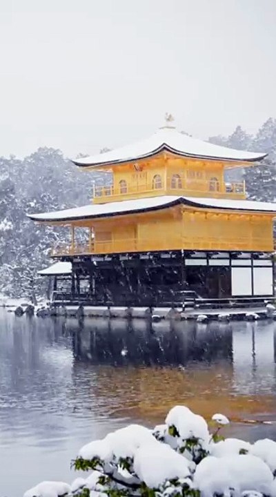 Musique Handpan Zen ❄️ Paysage Neige  | Relaxation Profonde, Méditation, Sommeil