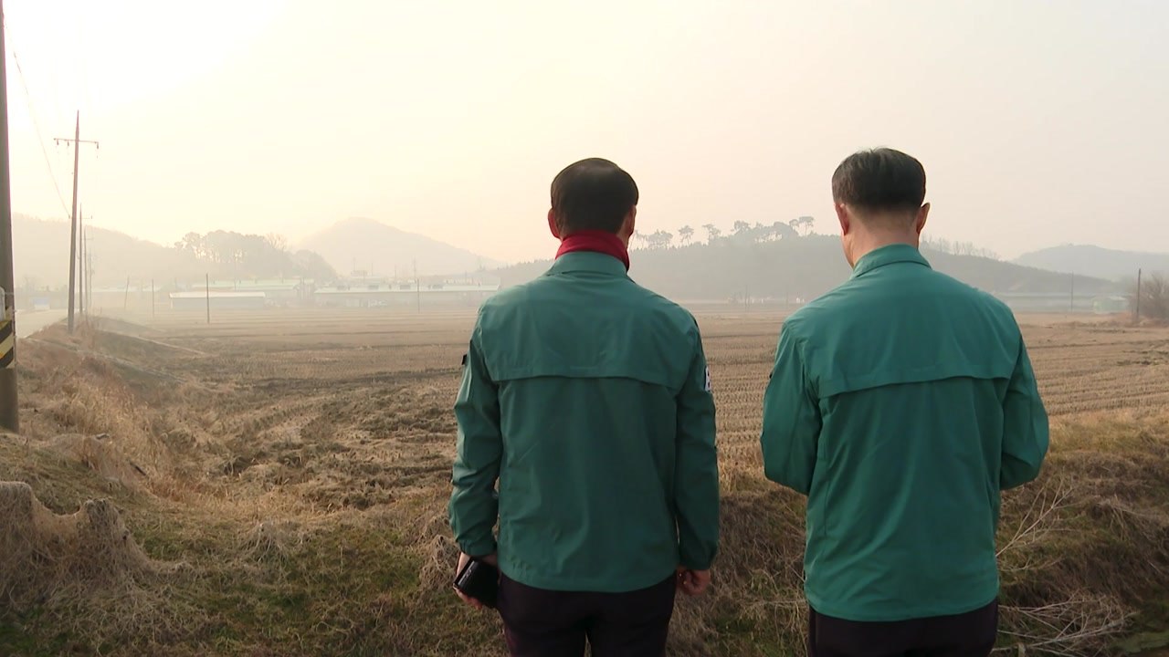 충남 홍성 아프리카돼지열병 발생...긴급 차단 방역 / YTN
