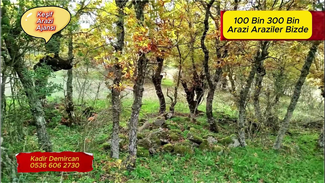 Keşif Arazi  Emlak Ajansı Güney Marmara Arazi Emlak Ajansı  Kadir Demircan 0536 606 2730   Tarla Bağ Bahçe  Köy Evi Arsa Çiftlik Bağ  Evi Yazlık Daire Dükakn Yazlık Satılık  ve Kiralık. Her Şey. Arazi Dron Kamera Fotograf Çekimleri  Kurgu Yayın Reklam Pa