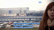 Политический скандал вокруг аккумуляторного завода