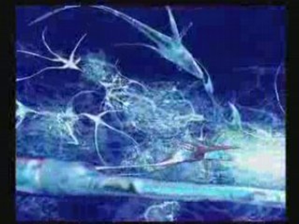 Nessbeal - Roi sans couronne CLIP OFFICIEL