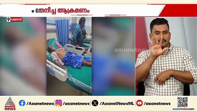 വയനാട്ടിൽ തേനീച്ച ആക്രമണം; 5 പേർക്ക് പരിക്കേറ്റു