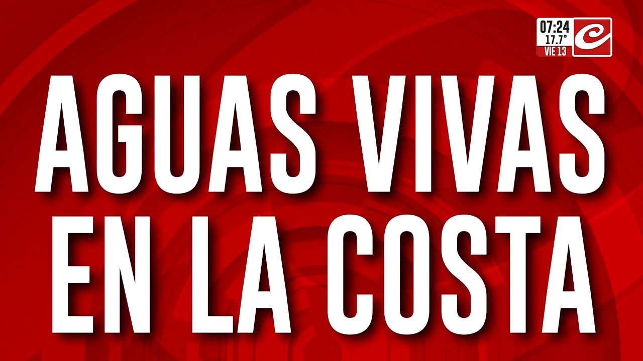 Alertan por invasión de aguas vivas en la Costa Atlántica argentina