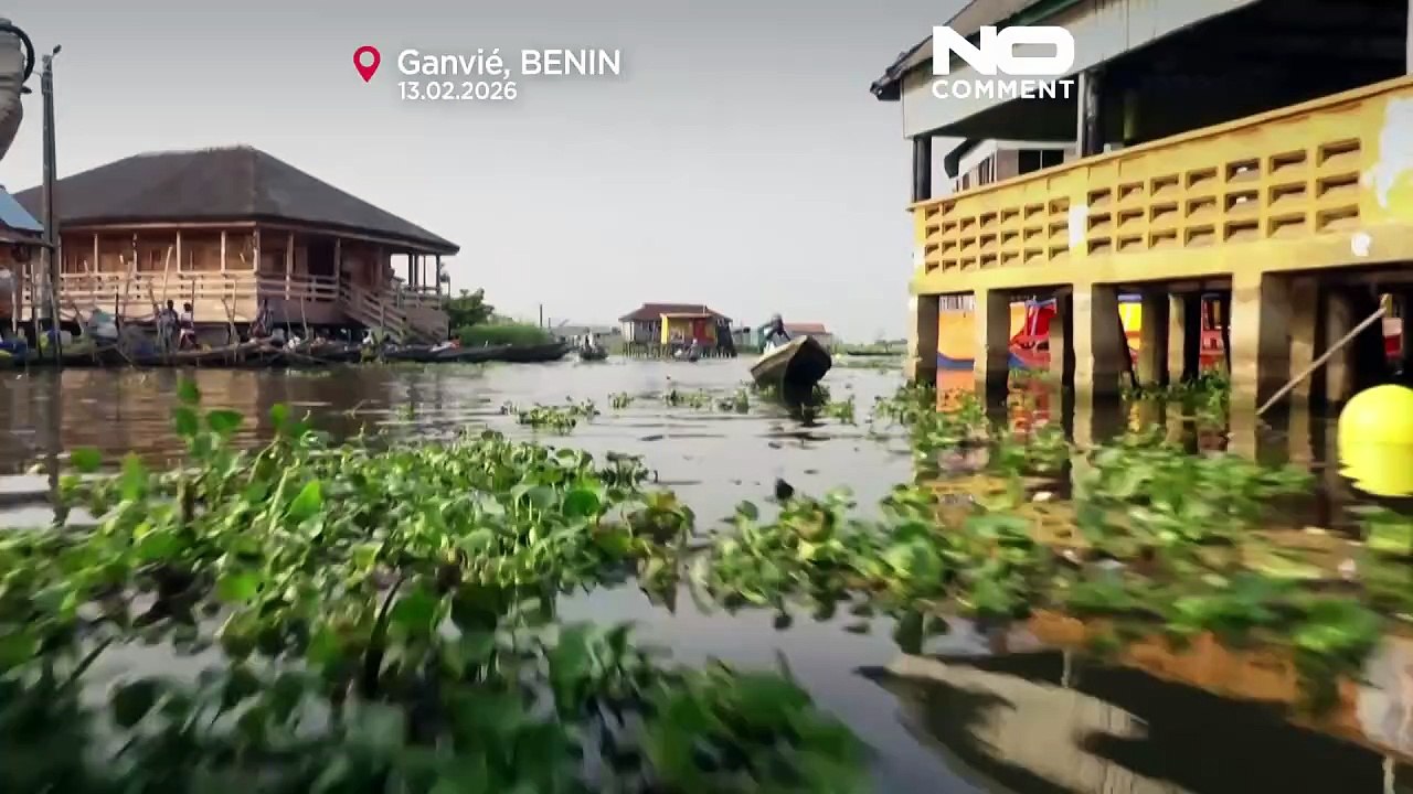 Benim: Veneza local ainda compete com apps de e...