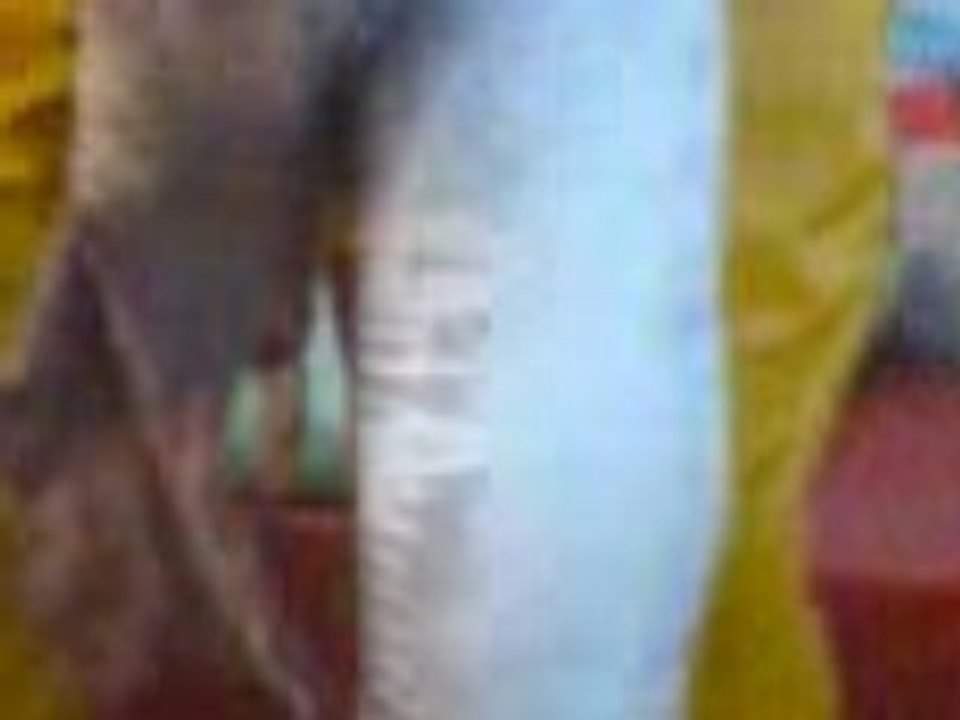 anaconda a sidi fredj