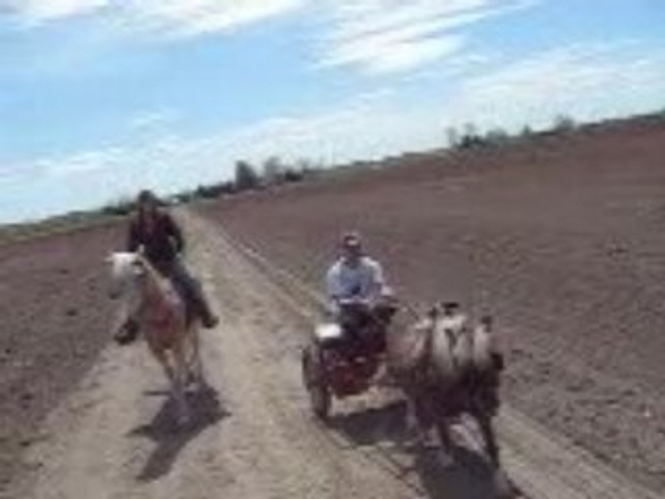 Randonnee aux Ecuries Mistouk 25Mai08