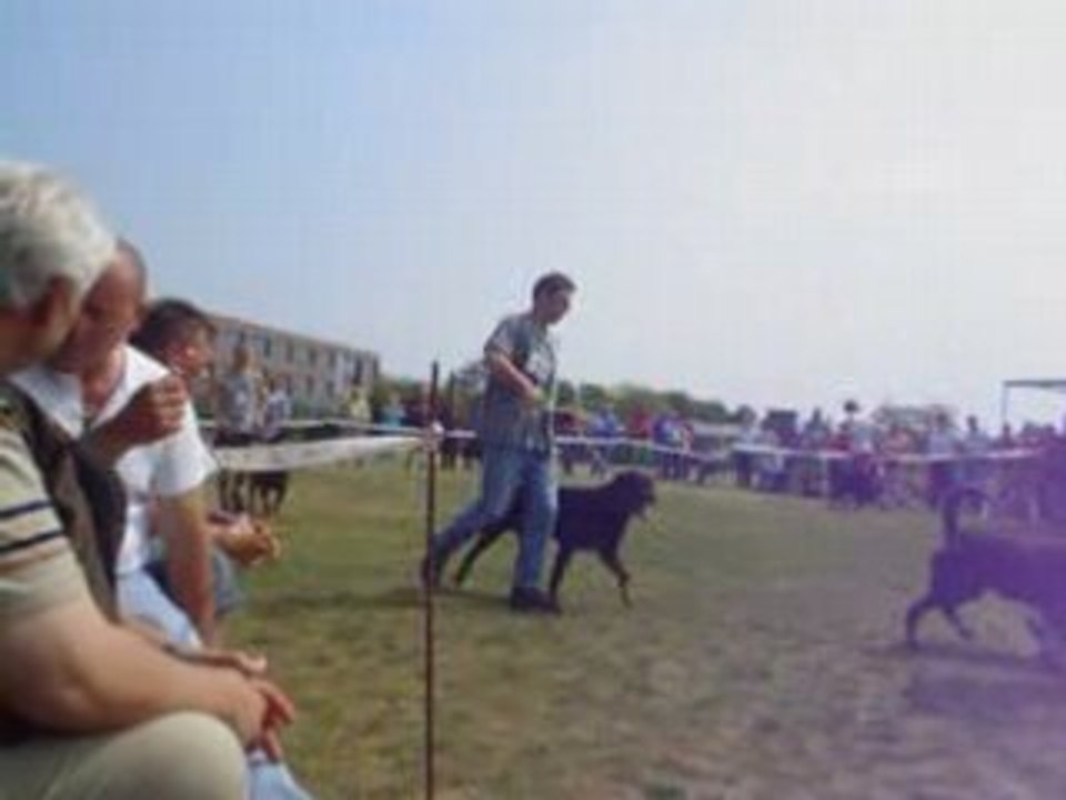MOV00143