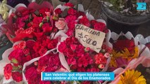 San Valentín qué eligen los platenses para celebrar el Día de los Enamorados