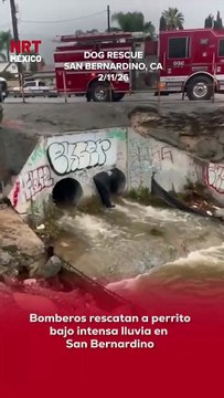 🐾🚒 Bajo la lluvia extrema en San Bernardino, bomberos lograron rescatar a un perrito que había quedado atrapado en un desagüe pluvial que comenzaba a inundarse rápidamente.