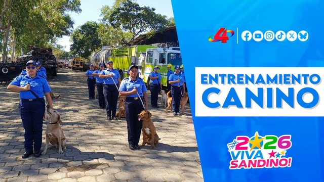 Entrenamiento especializado: unidad canina de Bomberos Unidos de Nicaragua 🐕‍🦺