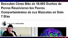 Reajación del Nervio Vago en perros