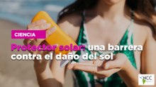Protector solar: una barrera contra el daño del sol