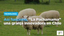 Así funciona, “La Pachamama” una granja innovadora en Chile