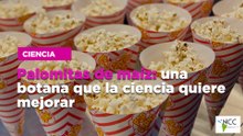 Palomitas de maíz: una botana que la ciencia quiere mejorar