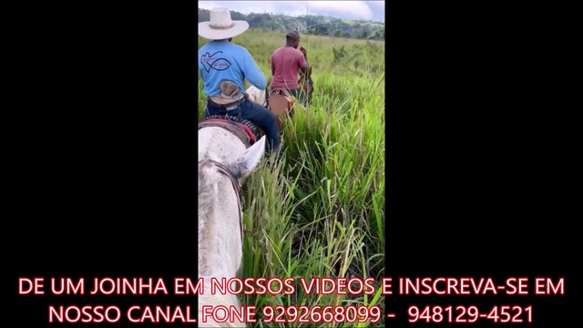 FAZENDA COM 380 ALQUEIRÃO A VENDA CMC