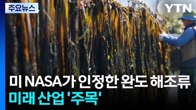 미 NASA가 인정한 완도 해조류...미래 산업 '주목' / YTN