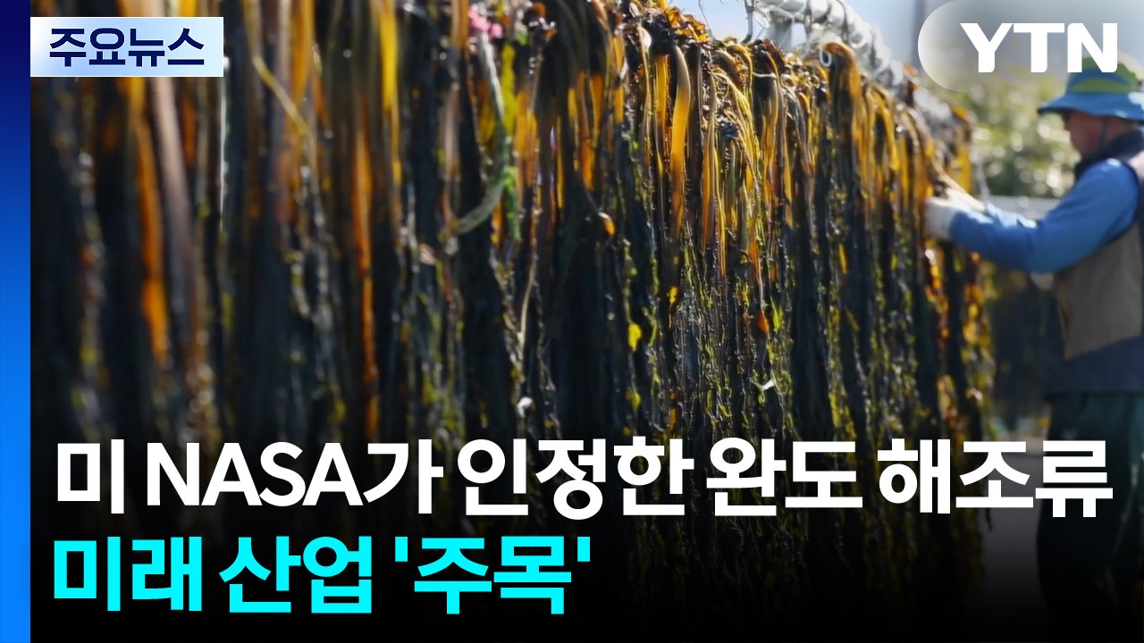 미 NASA가 인정한 완도 해조류...미래 산업 '주목' / YTN