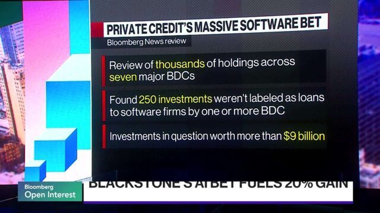 Private Credit's Software Bet Is Bigger Than It Appears