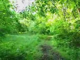 BlueStone National Scenic River Hike