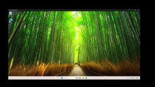 100% Disk Usage? Fix This