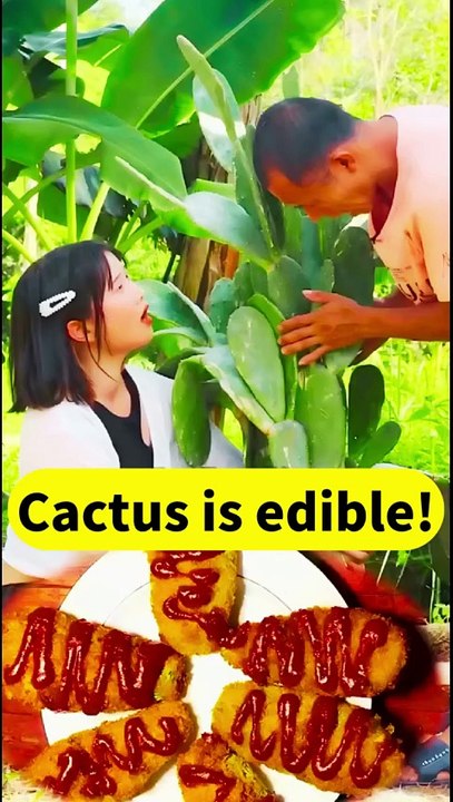 My homegrown cactus is edible! What a surprise✨