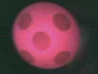 Champi - Magique . & les chiffres.